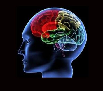 The brain from top to bottom: neurosciences & Vedanta