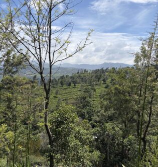 RT: Coonoor, Tamil Nadu, India, July 2026 <br/> The Niligiris Retreat Introduction To Vedanta