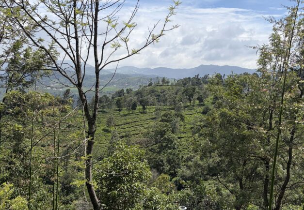 RT: Coonoor, Tamil Nadu, India, July 2026 <br/> The Niligiris Retreat Introduction To Vedanta